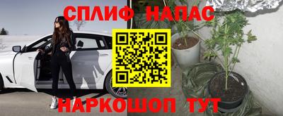 ECSTASY Ливны