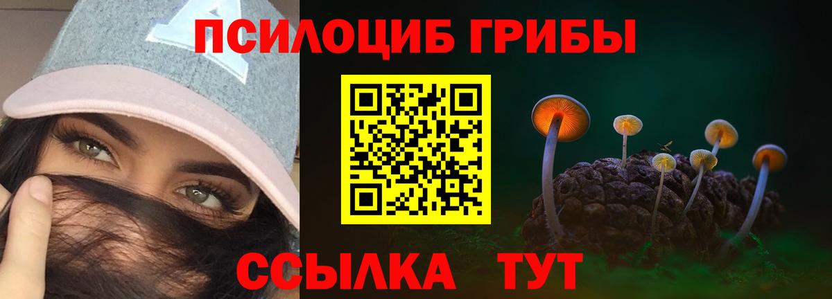 Галлюциногенные грибы Psilocybe  Псилоцибиновые грибы GOLDEN TEACHER  Ивантеевка  Вход с VPN 